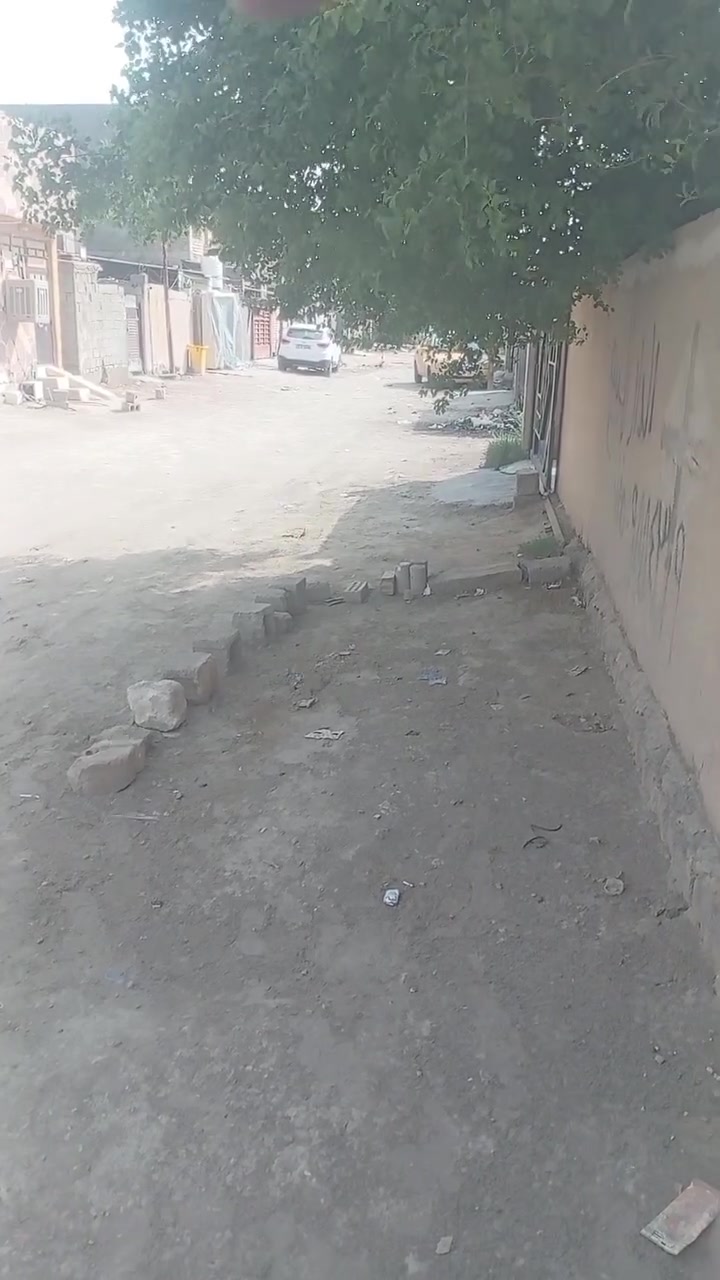 زاهي فاخر • رغوة علكة • توصيل مجاني