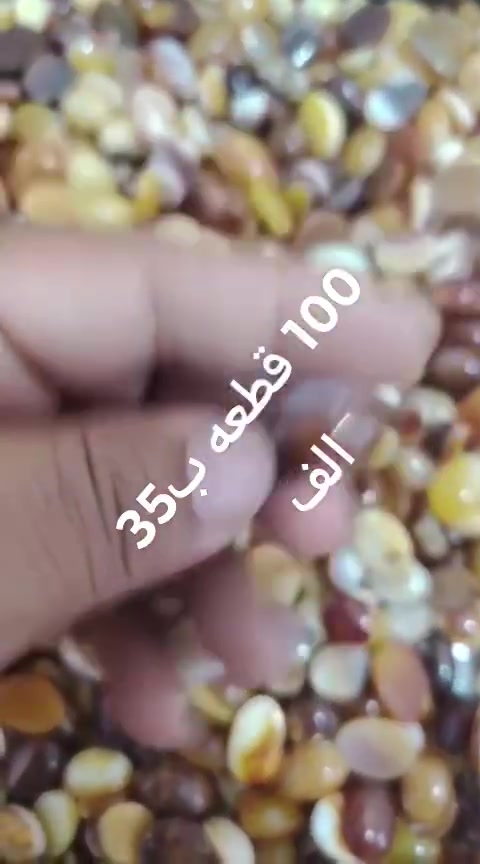 *********** وات ساب
جمله فقط
