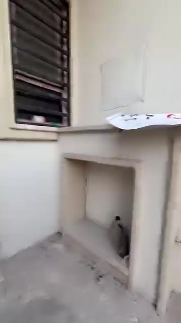 شقة للإيجار • غرفتين • حي السكر