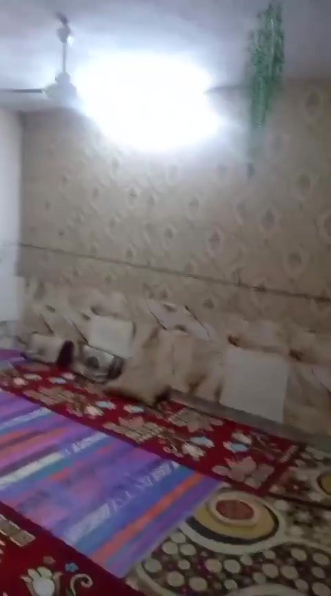لا توجد تفاصيل
