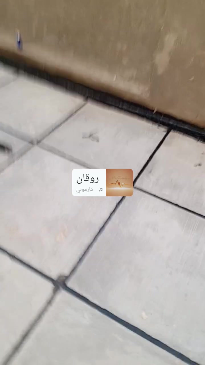 فريق متخصص • شتايكر • حي اور شارع فلسطين