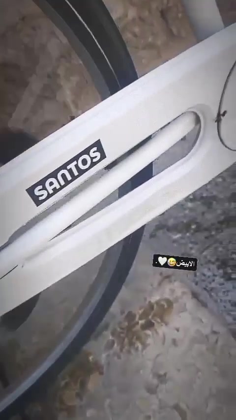 باسكل للبيع 100 قفل قفل قفل هاي 3 مرات مو واحد يجيني يكلي ها نزلي شويه