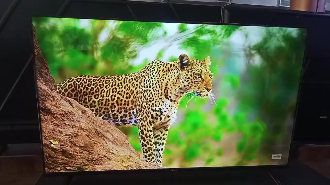 العنوان ناصريه
السلام عليكم:شاشة ليون حجم 50 بوصه جديده كرتون صار شهرين من أشتريته جاهزه الدقه4k اشغلك مقاطع 2100 يعني دقه ممتازه مثل ما موجود بالفيديو،السعر 375 وبيهه مجال للشراي ،محتاج فلوس واريد ابيعه الله شاهد،تجي تاخذ شاشه بالكرتون مال الشركه.
للاتصال الرقم ***********
العنوان طريق ناصريه غراف قرب ملعب الأدراه قيد الانشاء
