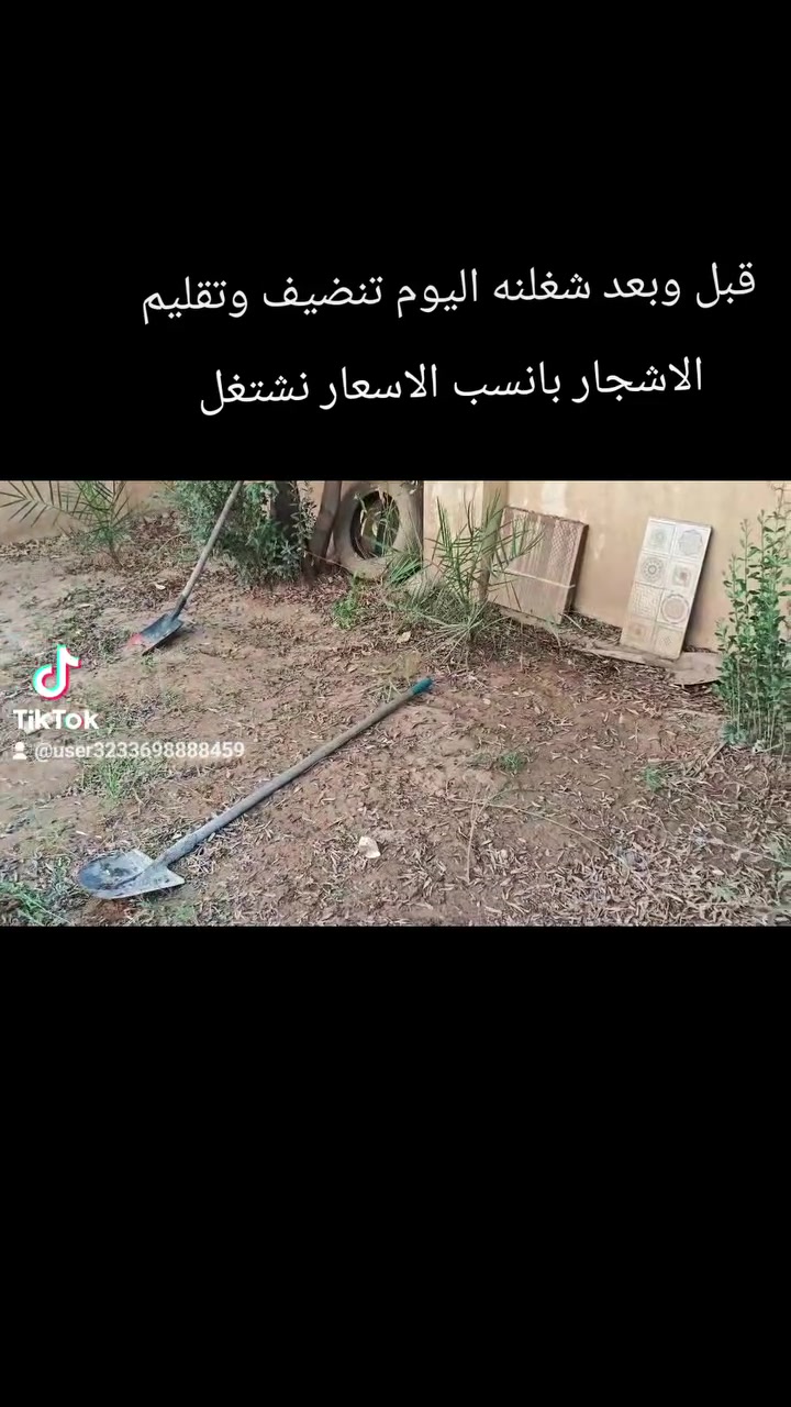 سلام عليكم 
شنو شغلكم بس تنضفون لا

تنضيف البيوت 

تنضيف تانكي سطح بسعر مناسب 

 تنضيف الحدائق 

نزرع النخل صغار فقط 

تنضيف مزارع اذا عندك مزرعه 

نكص اشجار كبار وصغار وتقليم 

فقط اتصل على رقم نجي نشوف الشغل ونتفق على سعر لا تشيل هم للسعر اسعارنه مناسبه كلش 

مكانه خانقين 

رقم الهاتف ***********
