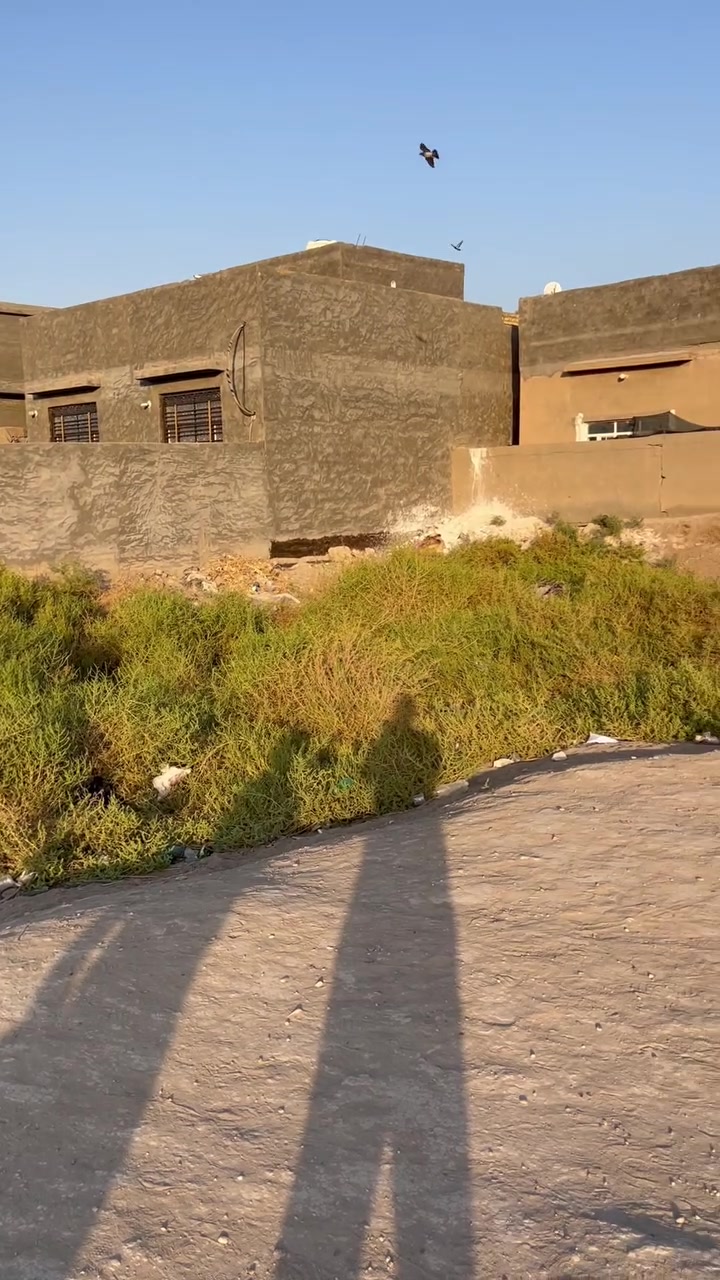 على بركه الله يتوفر لدا مكتب الغدير للعقار 
قطعه المساحه  200 وبسعر جدا مناسب 22 مليون وبيه مجال  
العنوان شارع العلويه شريفه ثاني قطعه عن التجاري. مكانها مميز جدا اكثر استفسار الاتصال على الرقم التالي 
          ***********
