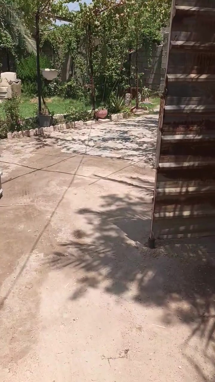 دار للبيع مساحته 400 متر تفاصيل بل فيديو ***********
