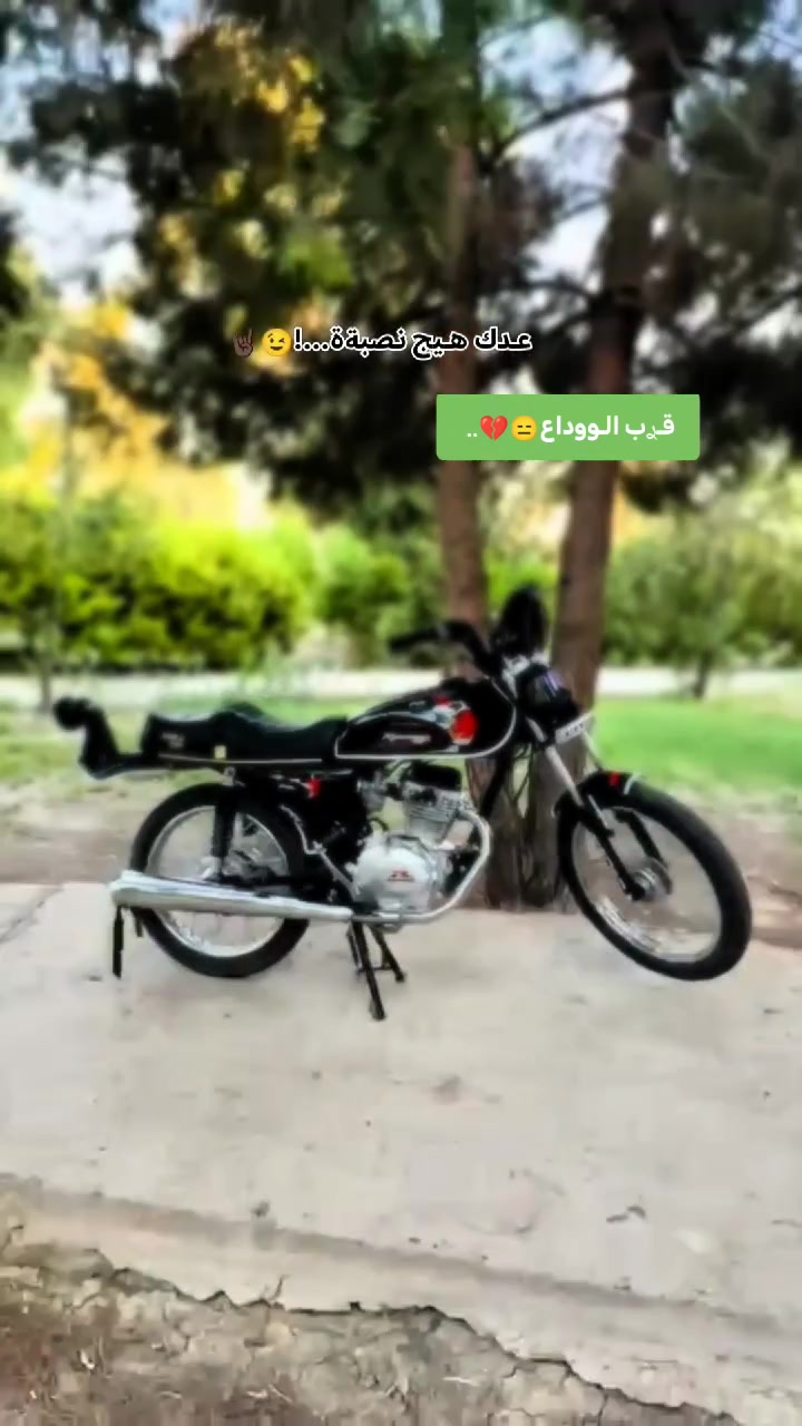 رابيدو • ٦ احرف • محرك دمعه