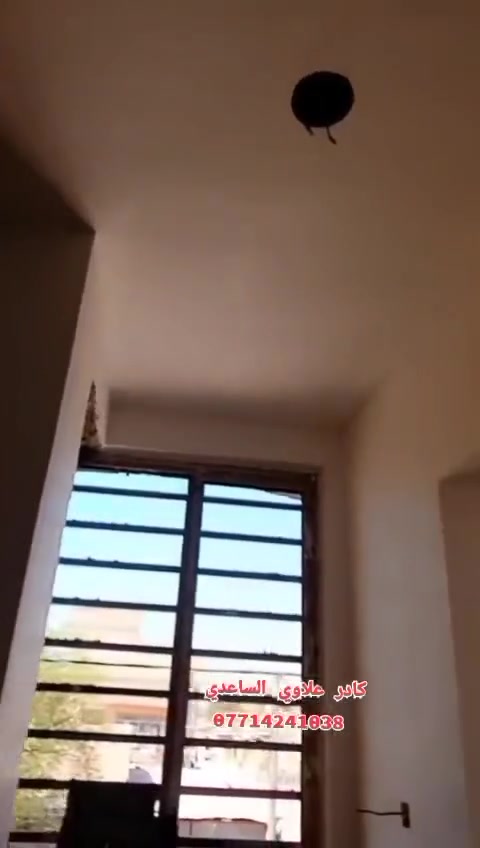 كادر جص وبورك ابيضجي متفرق حالين ***********

