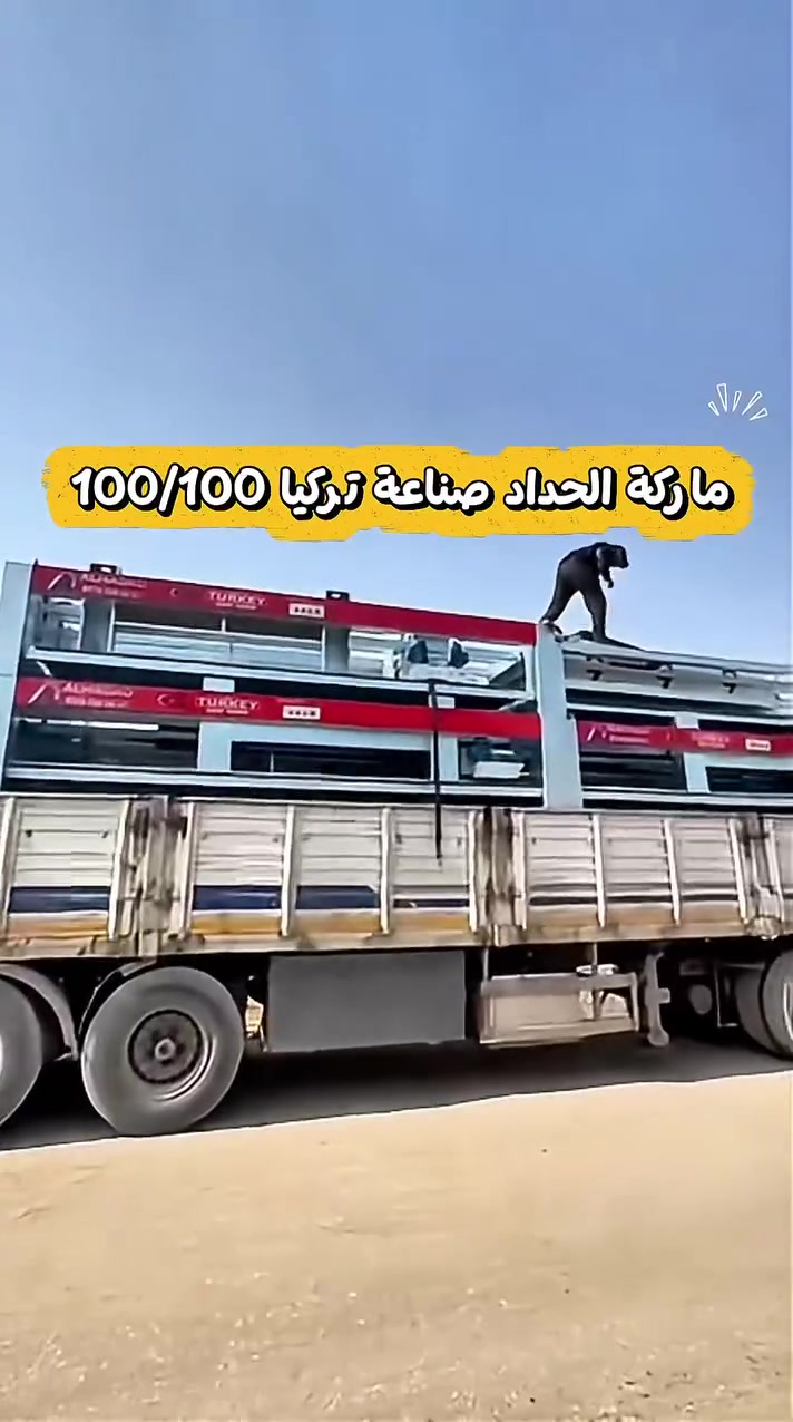 إلكترونيات • ٢٣/١٠/٢٠٢٦