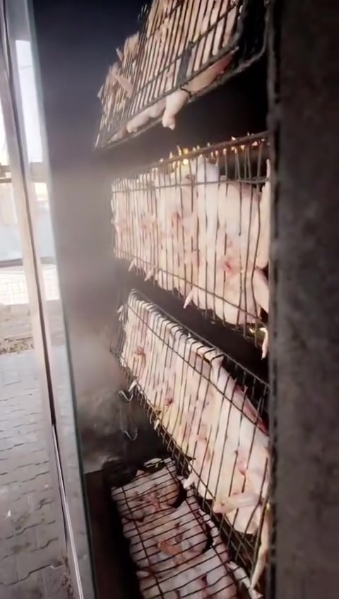 السلام عليكم
بعيداً عن ان هذا اعلان لكن الشهادة لله كباب لطفي بالطعم واحد لطيفية 
 افتح الچمچمة وياي الدجاج الدْبىح الكيلو 3.000 الدجاج المشويي 2.100السعر 8الاف الكباب شرط على الضوگ السعر 12الطماطة والبصل علينه #ملاحضة مهمة حتى الماعنده يجي ياخذ ويروح  العنوان اللطيفية حي 14تموز قرب مدرسة حاتم الطائي ‏
‪***********‬‏‏
***********
‬‏مشويات لطفي
