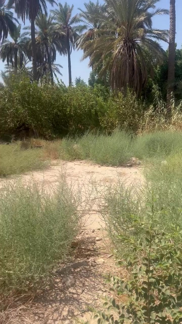 سلام عليكم قطعه ارض للبيع
📍  المدائن حي صحه 1200م 
📝طابو سند 25 تتحول باسمك 
سعر جدا مناسب  ترهم ستثمار 
اتصل ع رقم الهاتف الاستفسار ***********📱📞واتساب
