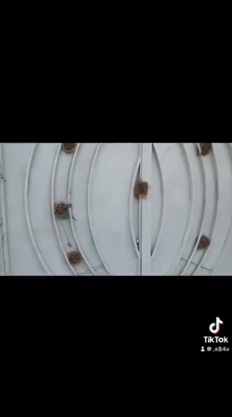 بيت البيع مساحه 210 مكان تقاطع النهروان منطقه الهولنديه منطقه هدوه على اخر حبايه خدمات كامله سند 25 قرار محكمه السعر 66 وبيه مجال تليفون ***********
