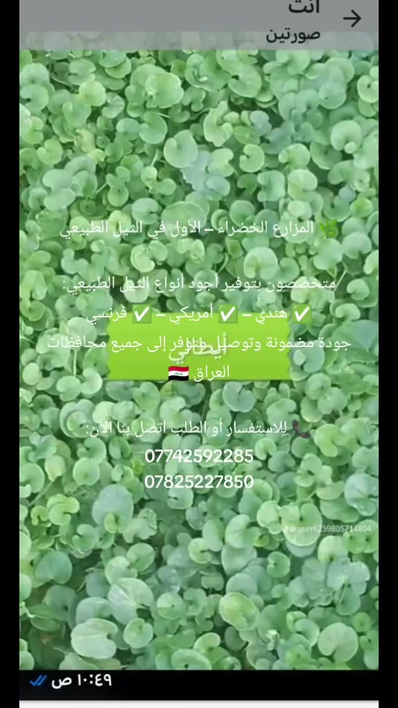 بستنة • تنسيق حدائق • العراق