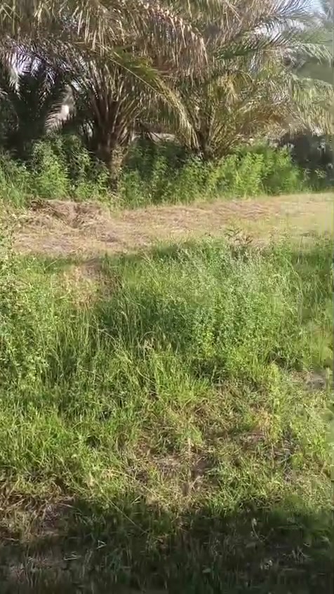 أرض زراعية • الحلة عنانة • دونمين مقاطعة ١٧
