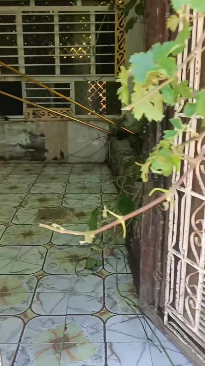 بيت للبيع • كاطون الرازي الحولي