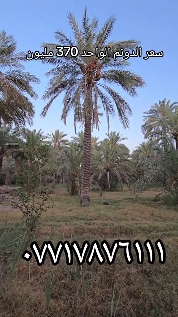##عقارات_كربلاء #عقارات #البارون 

نص مكتوب في الصور:
- سعر الدونم الواحد 370 مليون ***********