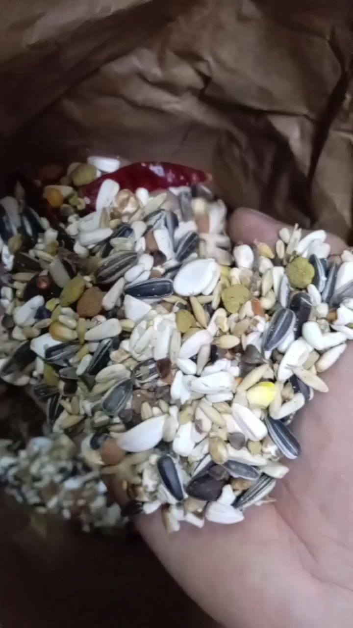 فلكه ساعه • توصيل • ١٠٠سم
