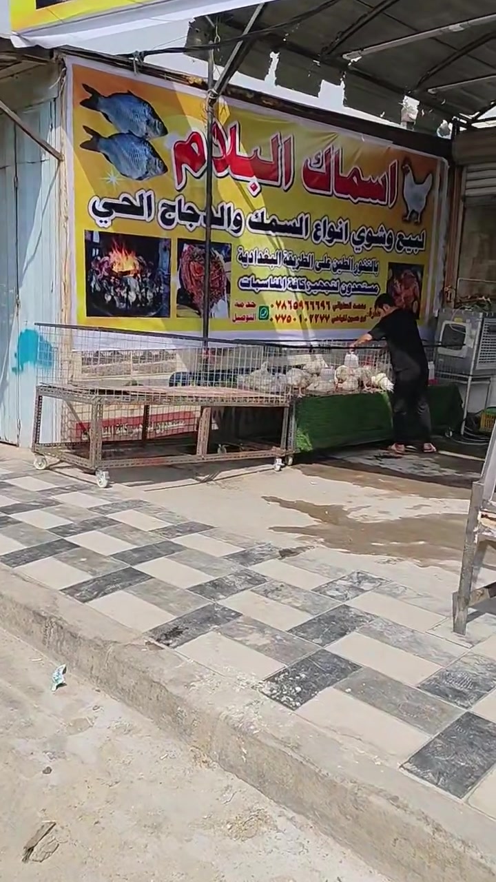 تم على بركه الله افتتحاح علوه اسماك البلام لبيع وشوي السمك والدجاج ع التنور الطين مستعدين لتجهيز المطاعم وكافه المناسبات ويوجد حدمه توصيل ***********
