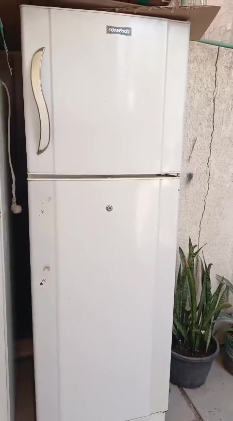 البياع • ثلاجات • شغالات