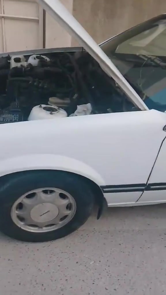 برنس • للبيع