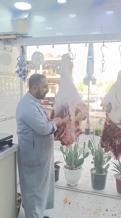 لحم عجل عراقي • المسيب حي المعلمين • مطعم الماجد