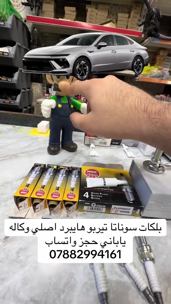 بلكات سوناتا • هايبرد • أصلي ياباني
