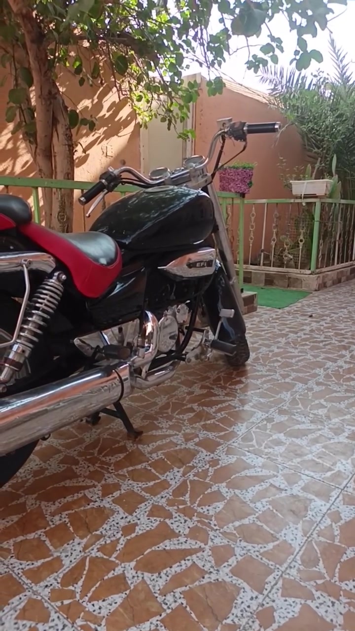 دراجه هارلي Hyosung        مكينه ربع نوزل بستمين دراجه نضيفه كطن انضف من الصوره مكينه برغي ممفتوح اتكاتب وياك عشائرين وعن السرقه دراجه عوزه بس عقل عقله حترك جيب عقل وشد نكره سلف        مكاني سوق الشيوخ          مكلف بل نشر رقم أبو الدراجه  ***********
