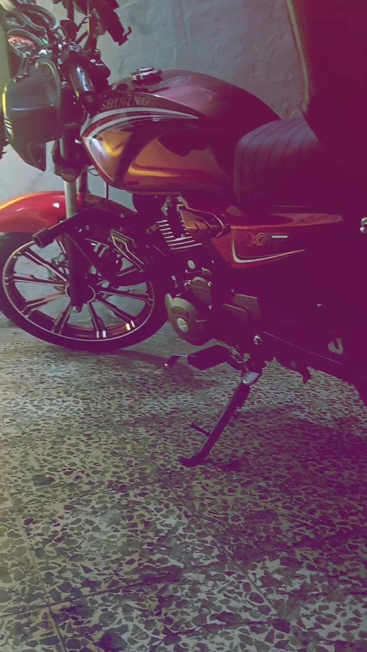شاينك • ٢٠٢٦ • مكفوله