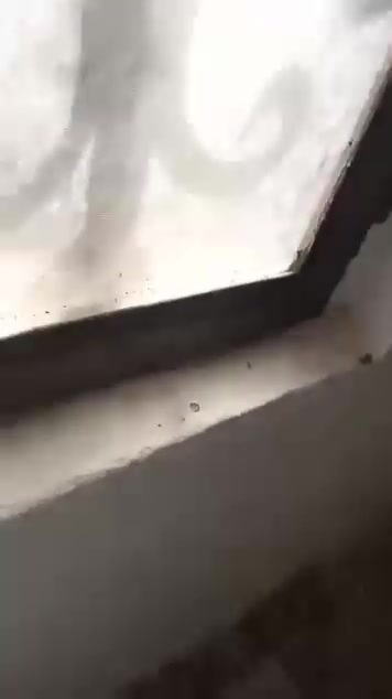 للإيجار • معملجي خلف نوارس • ١٠٠م