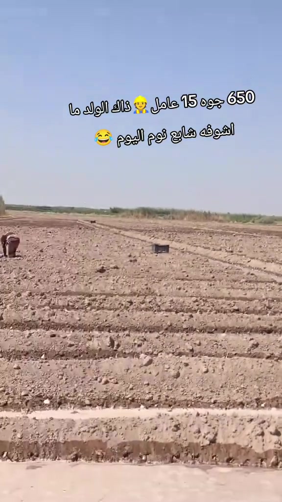 يوجد عمال شتال بصل شتال خس نشتغل كلشي وكالشي توصل  ***********
