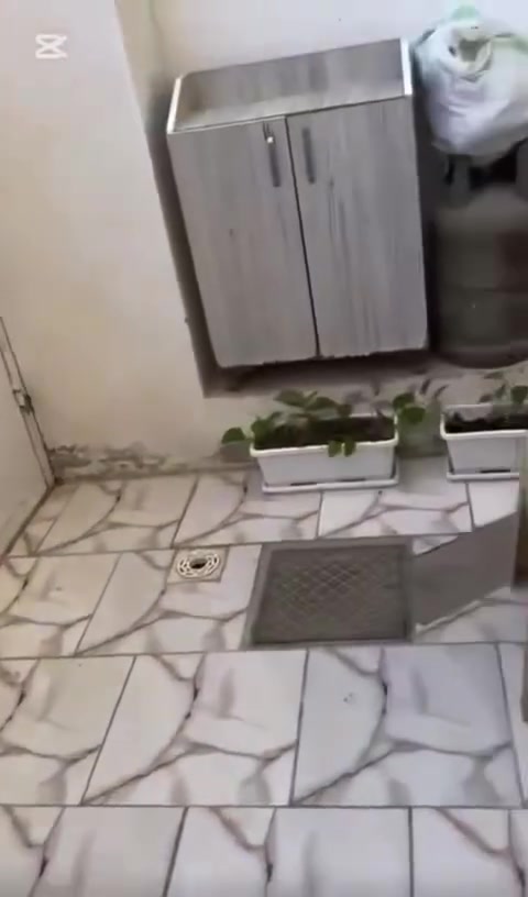 🏡 بیت طابقين للبيع – كربلاء / حي الزهور
📍 الموقع: أرض محمد حلوه – تقسيم محمد حلوه مقابيل السندباد شارع الشبانات 
يبعد فقط 10 دقائق عن الإمام الحسين (ع)
🔖 السند: 25
📐 المساحة: 100 متر – الواجهة 8 أمتار
عرض الفرع ٨ متر
✅ الطابق الأرضي:
غرفة نوم
استقبال + صالة عائلية
حمام داخلي + حمام خارجي
طارمة أمامية مريحة

✅ الطابق الثاني:

غرفتان نوم كبيرتان – كل غرفة تحتوي على حمام خاص
بيتونة كبيرة (تُستخدم كمخزن أو غرفة غسيل)
سطحين – أحدهما واسع ومناسب لجلسات أو الطاقة الشمسية

💎 مميزات العقار
• تقسيم عملي ومريح مناسب للعائلة
• موقع هادئ وآمن وسكني
•  قريب من الأسواق والخدمات وبانزین خانه 

السعر ١٨٥ وبي مجال والبناء٢٠٢٠

الاتصال على الرقم ***********
