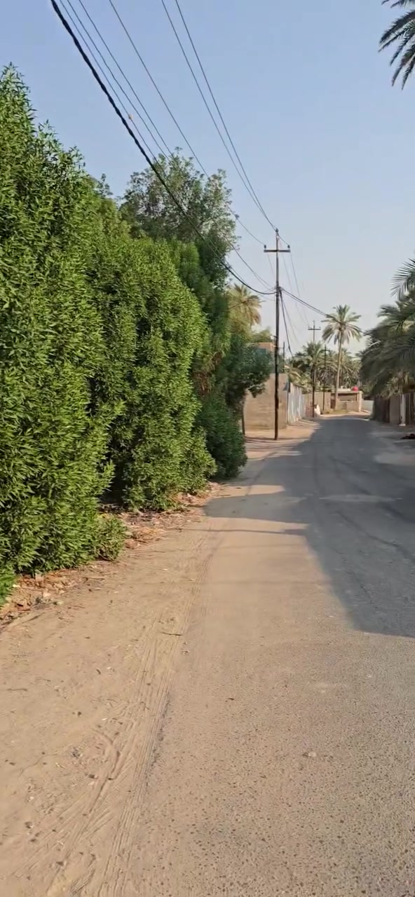 للبيع 
دونم مع دار سكني مساحه ٤٠٠ م 
طابو زراعي سند ٢٥
كامل الخدمات ماء كهرباء تبليط 
حله / قرب شارع ١٠٠
***********
