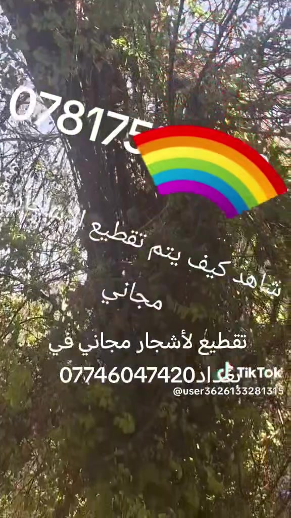 تقطيع لأشجار مجاني في بغداد***********
