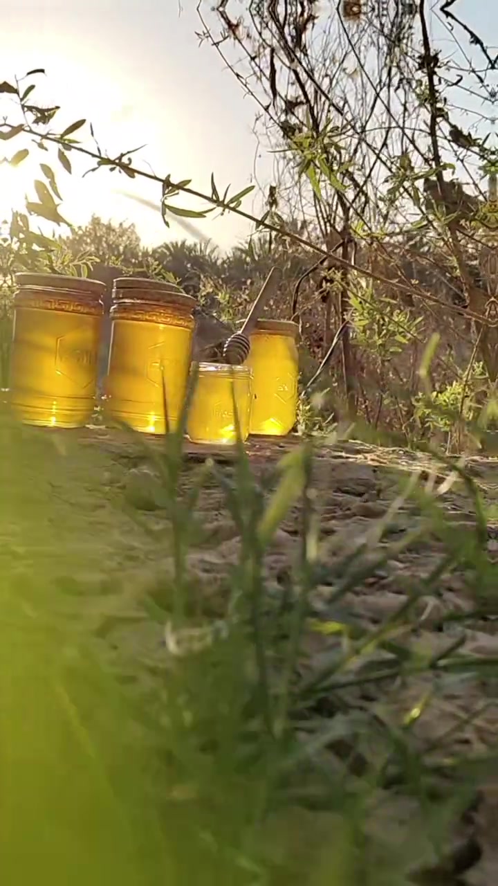 السلام عليكم
عسل طبيعي 🐝🍯
بكل قطرة خير وصحة
١٠٠٪طبيعي _غير مضاف من خيرات الطبيعة
عسل نقي يجمع بين الطعم الأصيل والجودة العالية يمنحك فوائد الطبيعة في كل يوم
يتوفر العسل بأحجام مختلفة واسعار تنافسية ومختلفة
الكبير 🍯 الوزن كيلو ب٣٠ الف
الوسط 🍯 الوزن نصف كيلو ١٥ الف
الصغير 🍯 الوزن ربع كيلو ٧ الالف
🐝 منتج محلي جودة عالية وتثق بيها
لطلب والاستفسار الاتصال ع الرقم ***********
