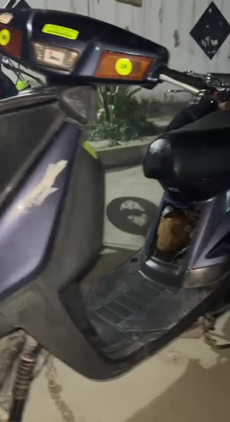 ماطور بزون للبيع مكينه ما مفتوحه شاصي مكينا  اكسن شرط ماطور شلعه ومعدل  نار ادرع نضيف كدامك واير منيه شغاله مكاني موصل الايسر
سعر280بي مجال 
***********رقم بي واتساب 
ماطور بزون للبيع مكينه ما مفتوحه شاصي مكينا  اكسن شرط ماطور شلعه ومعدل  نار ادرع نضيف كدامك واير منيه شغاله مكاني موصل الايسر
