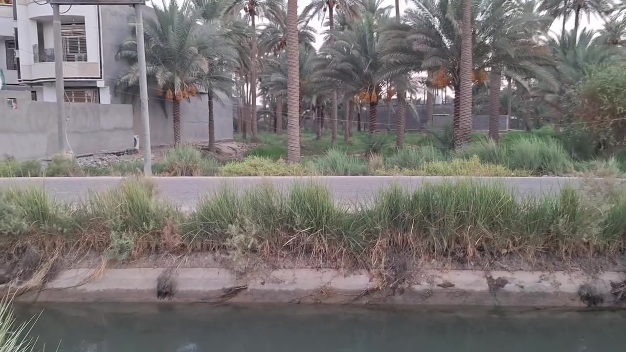 اللهم صلي على محمد والي محمد 
دونمين اله ربع طابو زراعي
 سند ٢٥ بيها تحويل اسهم
العنوان/ كربلاء طويريج عل سنيه 
كافة خدمات ماي اسائله كهرباء 
ماي الروائي من الامام وخلف بزل 
ومزروعه 40 نخله 
السعر ١٤٠ مع المجال 
الاستفسار ***********
مكتب الشيخ للعقار
