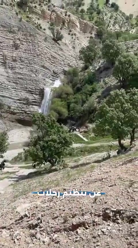 لا توجد تفاصيل
