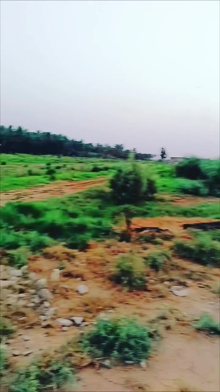 هبهب • دونمين • سند ٢٥