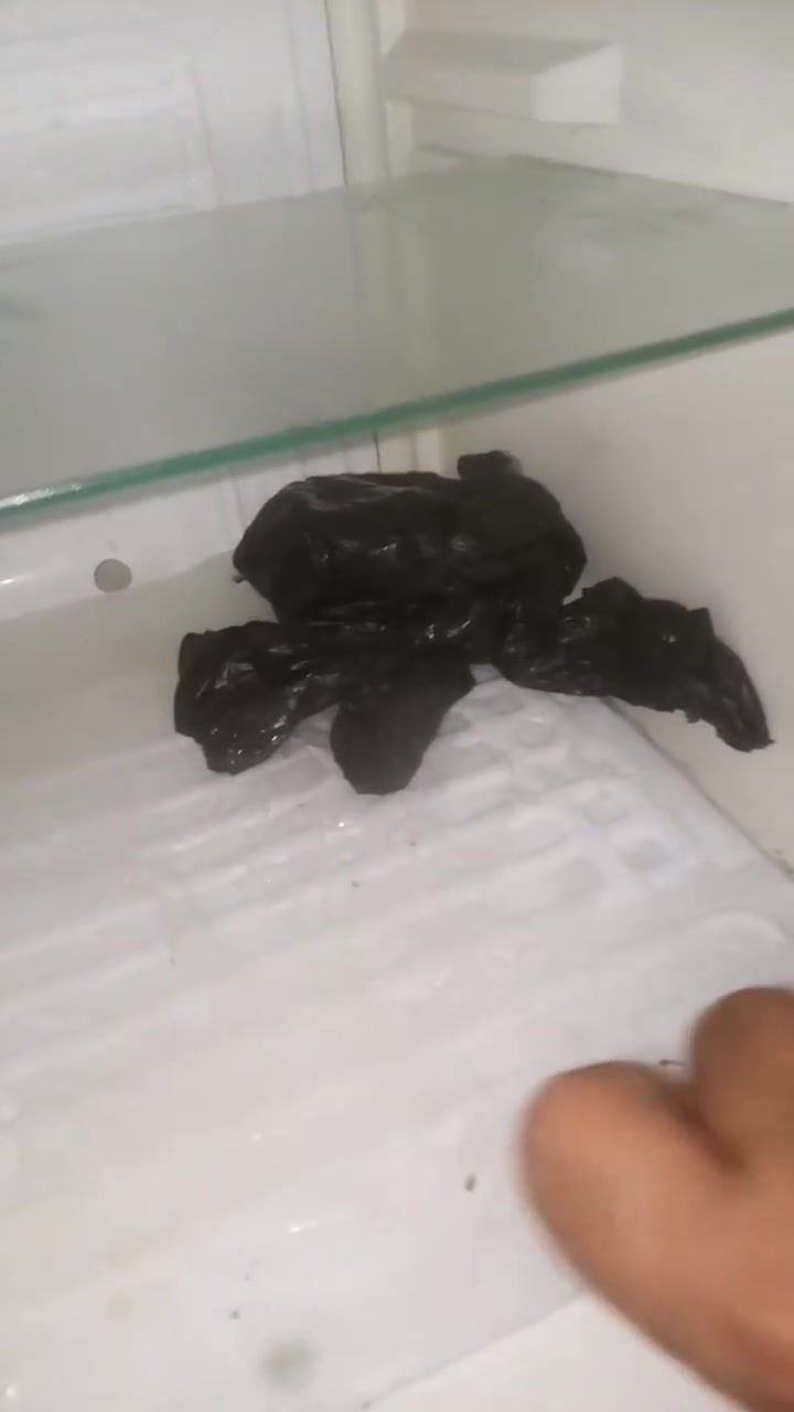 ثلاجه للبيع سعرها 125وبيها مجال شغاله مابيها اي عطل مكاني الحسينيه***********
