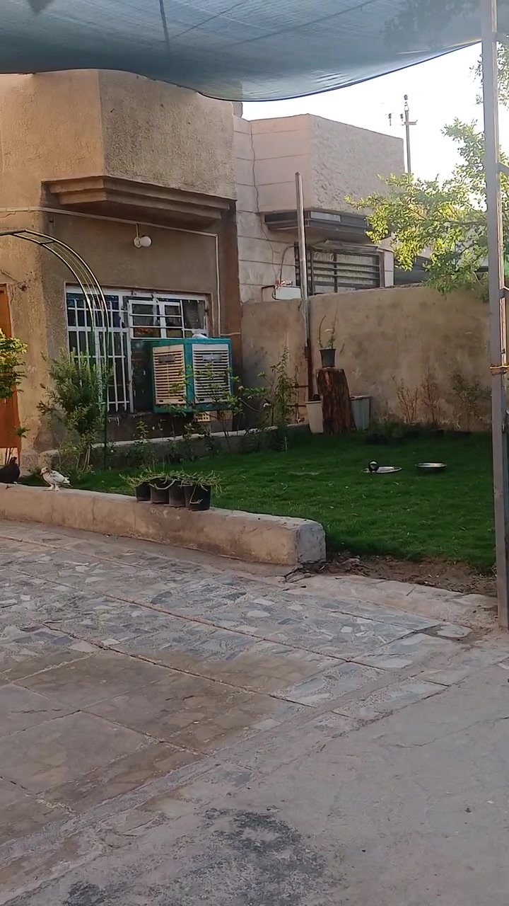 السلام عليكم
الدار للبيع 
المساحه / ٢٥٠ م 
الواجه / ١٠ م  
النزال / ٢٥ م 
الموقع حي السفير 
قرب سكله قاسم الكناني 
الاستفسار  هاتف  ***********
