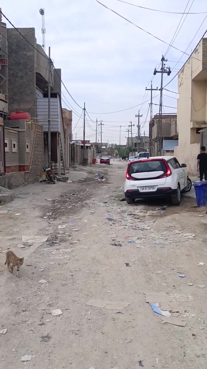 حله ورديه • ٢٠٠م • ٣ غرف نوم