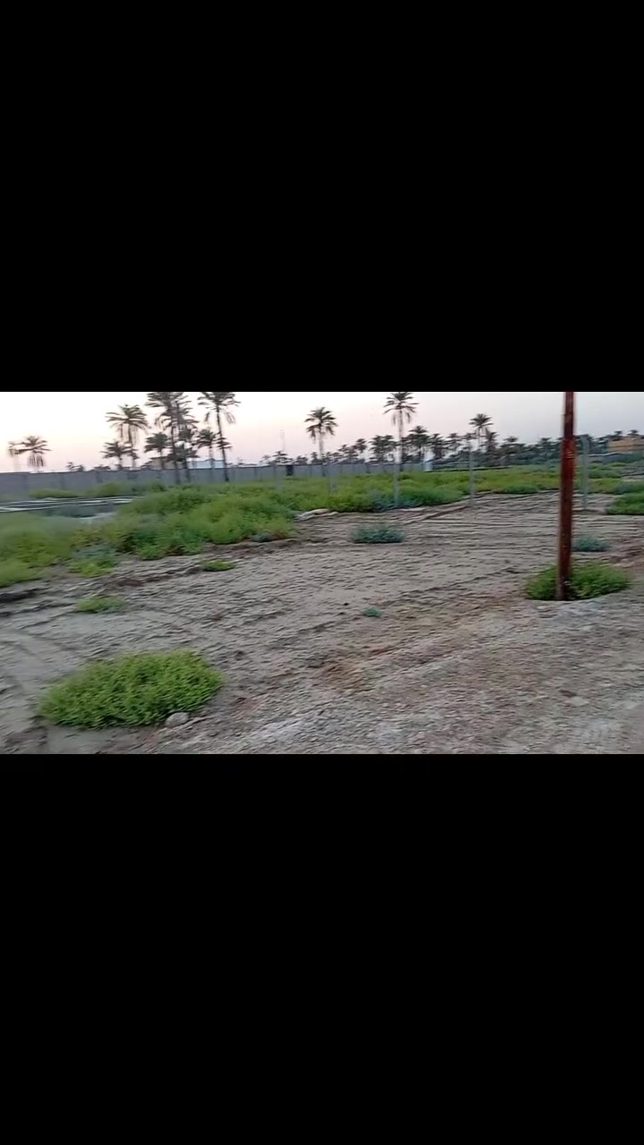 السلام عليكم قطعااا 400 متر طابو اسهم بل سديناويه خلف مدرست الواثق وجه 20 نزال 20 شارع 10 متر  للستفسار ***********
