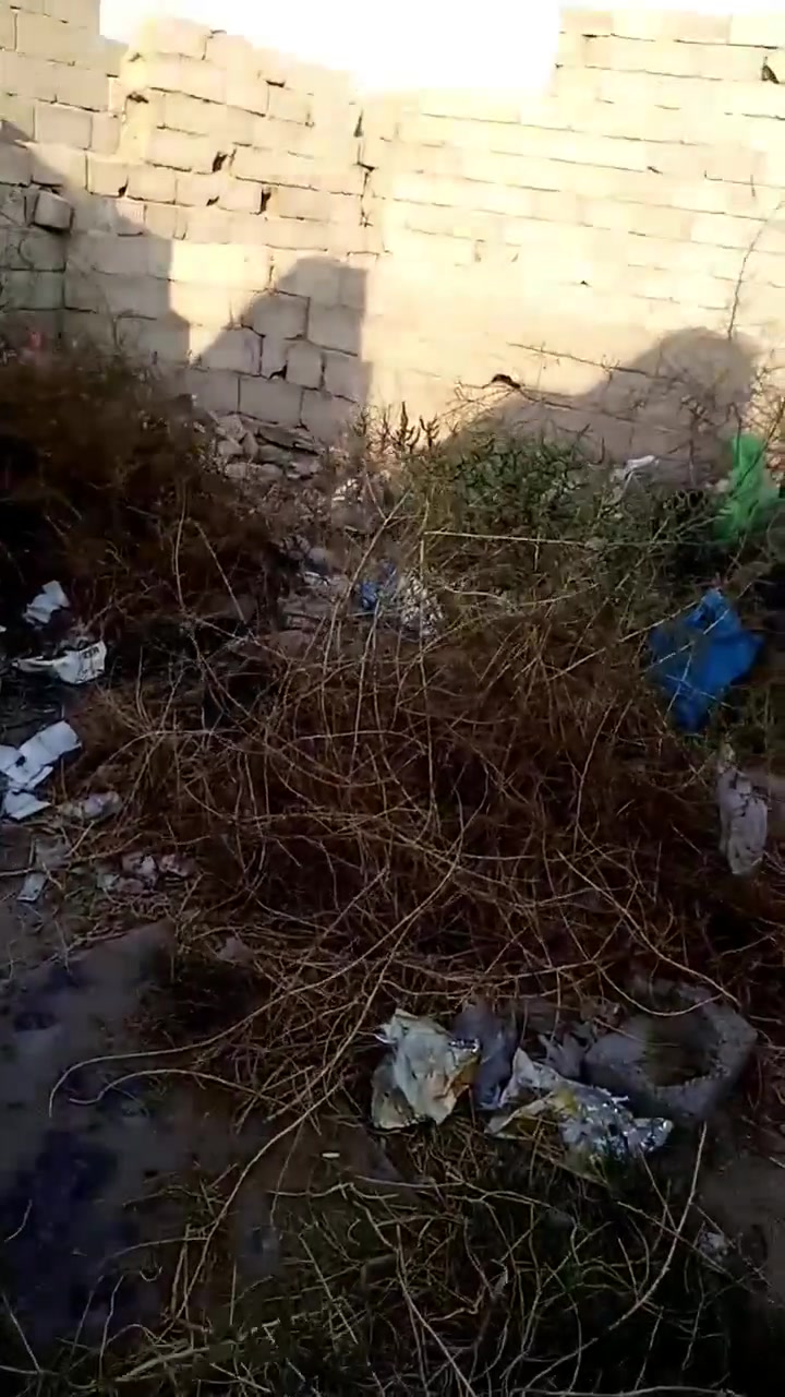 هيكل • خدمات • أبو شمع حي السلام