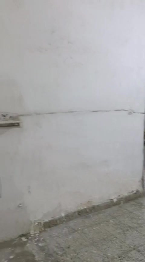 حي الجهاد شارع ٦٠ • غرفتين • حديقة كبيرة
