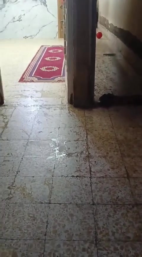 بيت • ١٠٠م • شارع ٢٠