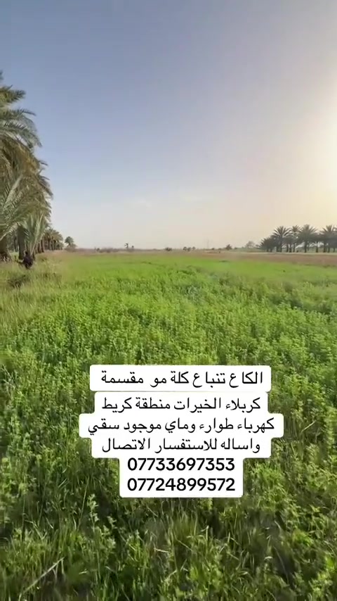 السلام عليكم 3 دوانم للبيع طابو سند 25العنوان الخيرات كريط الايشان اتصل ***********
