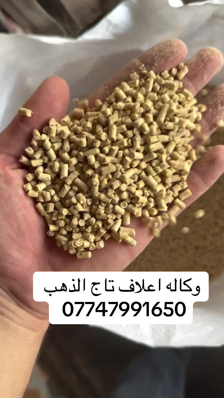 اعلاف تاج الذهب الوكيل الحصري 
بياض 
لحم 
سوبر بياض 
كافه الاعلاف متواجده 
***********
