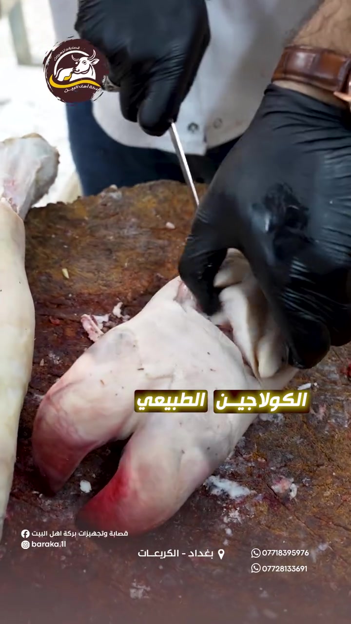 ⁨ عوف الصيدلية.. وجرّب الكولاجين العراقي الأصلي! 🔥

إذا تدور على علاج للمفاصل وطاقة طبيعية بدون أملاح ولا أذية، الكوارع (المقادم) من قصابة وتجهيزات بركة أهل البيت هي الخيار المثالي •

✨ ليش تختار من عندنا؟
• نظافة درجة أولى
• مقطعة ومنظفة جاهز للطبخ فوراً
• طعم وجودة اصلية
سعر الماعون 14 الف 

📍 العنوان: بغداد - الكريعات القصور  (نهاية نزلة حيدر للزيوت)
📞 للحجز والطلب: *********** | ***********
#اكسبلورexplore #بغداد #العراق #لحم #لحوم⁩
