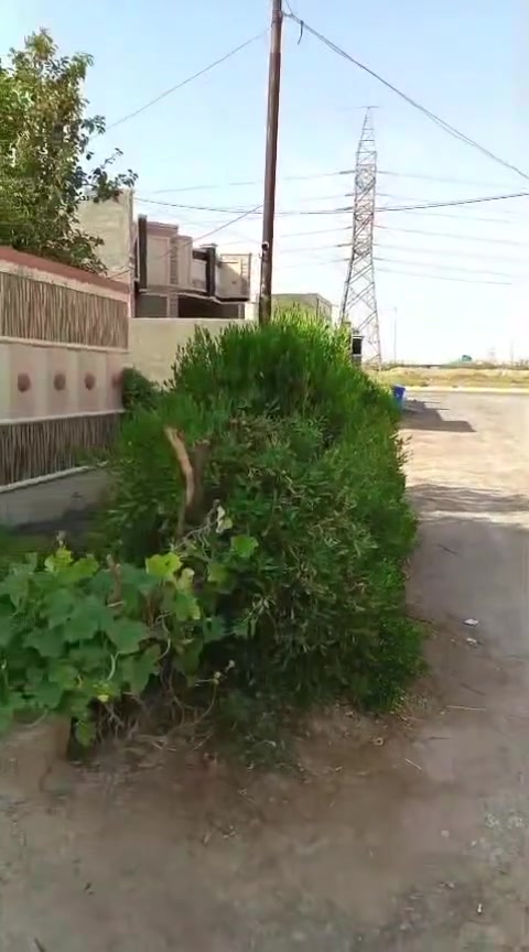 الصقلاوية الشهداء الأولى • ٢٥٠م • ٤ غرف نوم