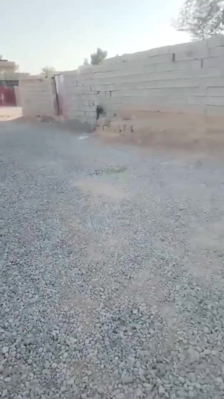 السلام عليكم متاح بيت للبيع
الموقع كاع الصياد مقابل المدرسة الصينية بالفرع باقي التفاصيل بالفيديو للاستفسار اتصل.   ***********
